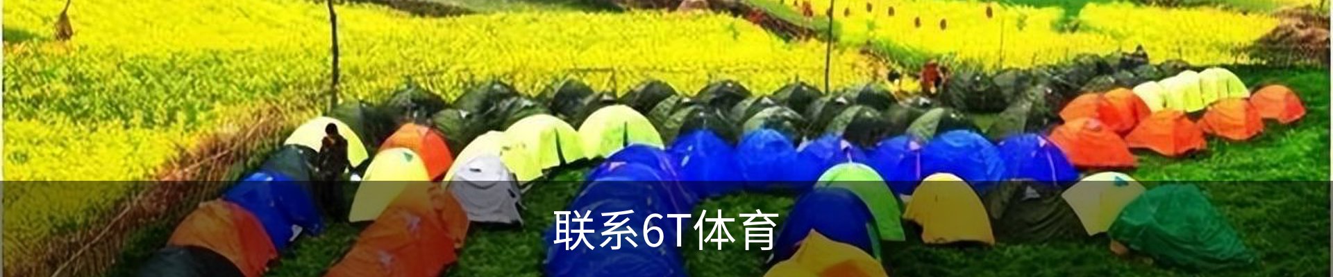 联系6T体育